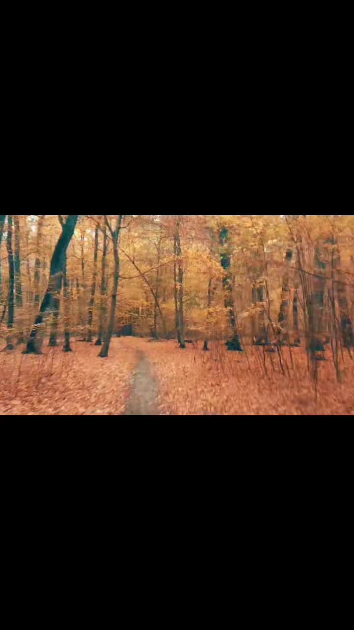 Video de @FLRica06