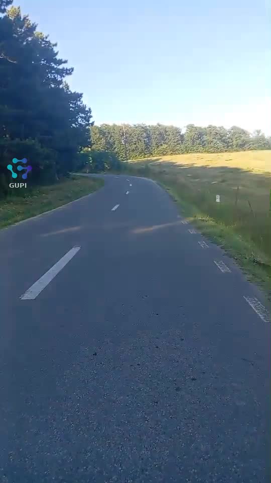Drumul catre bucuroaia