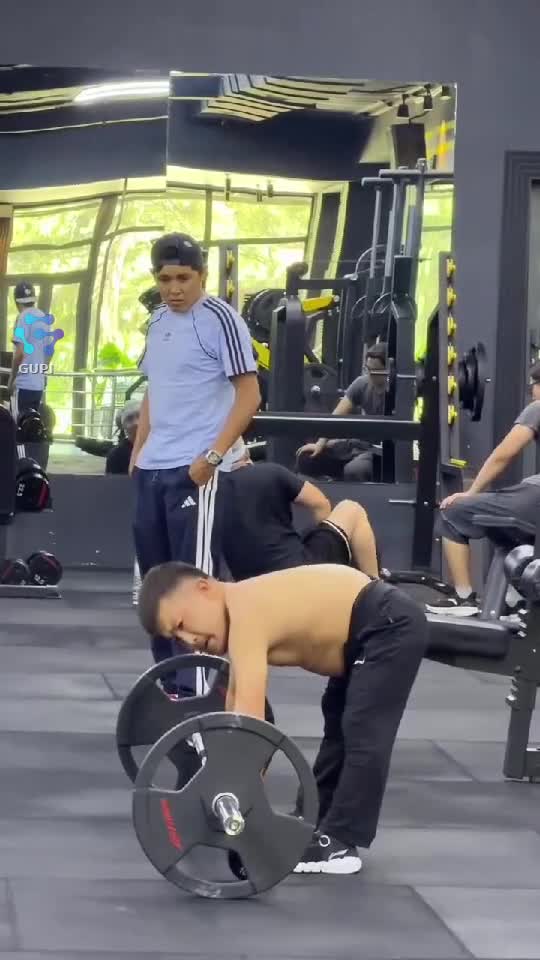 ,  , , ,