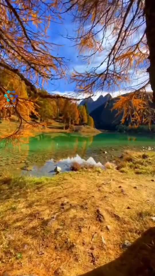 Video de @gupiuser248570