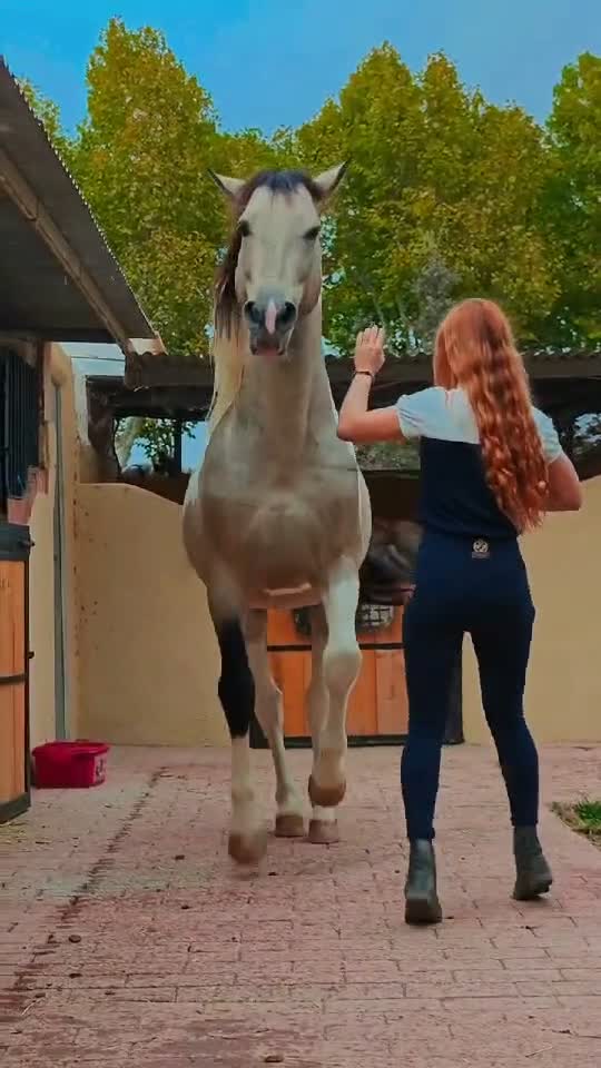 Talent și grație ! Merita o inimioară !🤗♥️♥️♥️🇺🇸
