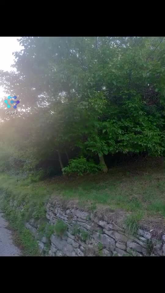 Video de @gupiuser150764