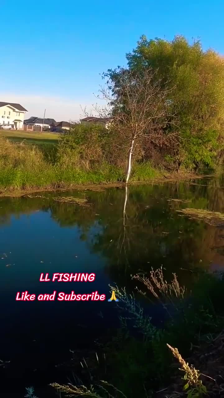🔥Relaxare totală 🔥