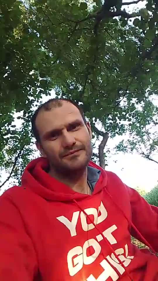 din inima pădurii