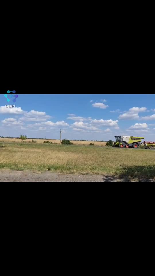 Video de @gupiuser156147