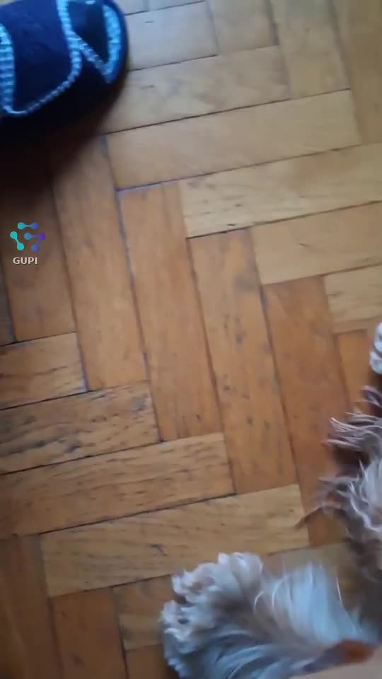 Video de @gupiuser342427