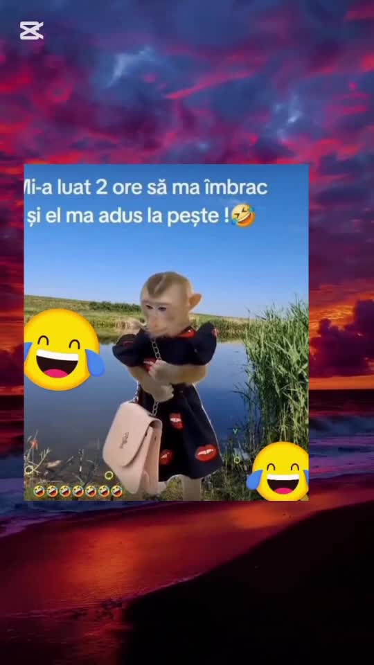 🇷🇴🤪🇷🇴#🇷🇴🤣🤣