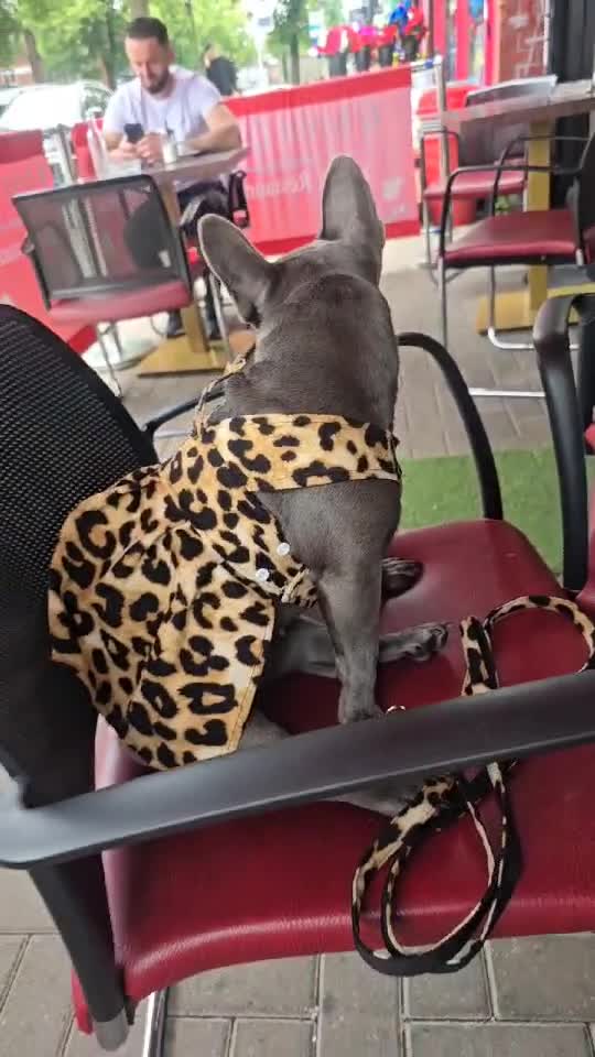 Pe terasă la cafea🥰🥰🥰🥰