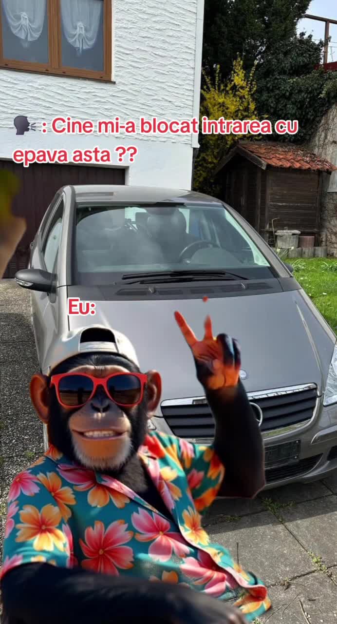 cine e cu epava asta?