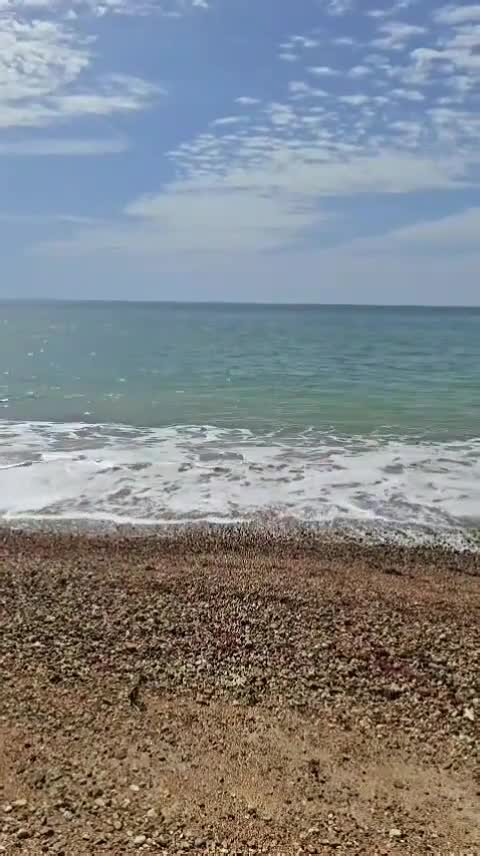 Video de @gupiuser1014105